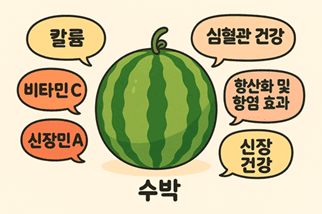 수박의 주요 영양성분