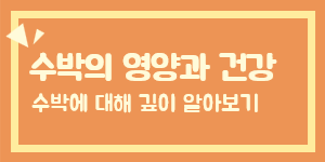 6월 제철 과일, 시원하고 맛있는 수박의 영양 성분과 건강