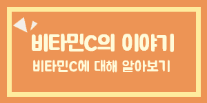 비타민C이야기